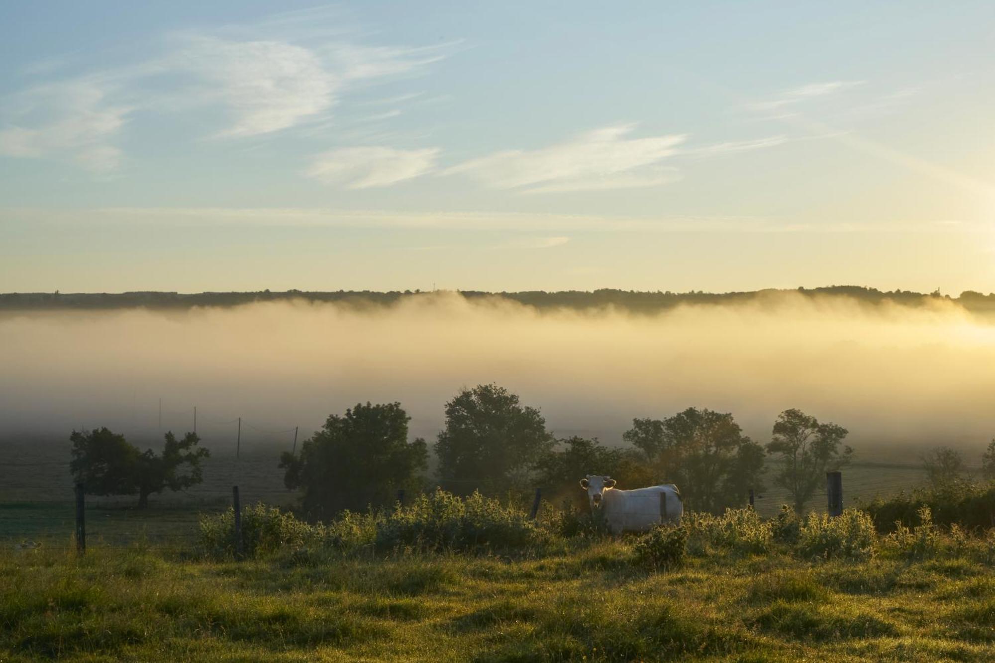 La Colline Du Colombier Hotell Iguerande Eksteriør bilde